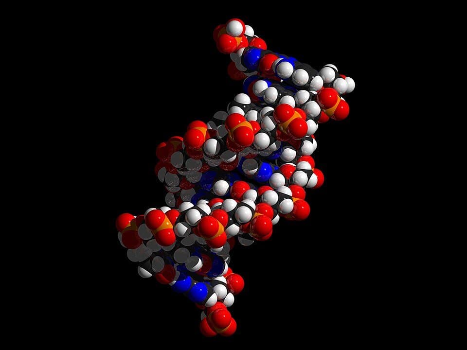 Sermorelin